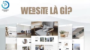 website là gì